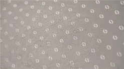 Outwell Universal Extensions - Size 1 9 Outwell Universal Extensions - Size 1 -Outwell 23203 3